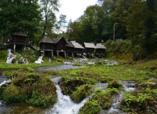 The Fall of Fuad Pasha